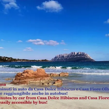 Casa Fiore * Όλμπια